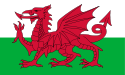 welsh 404-fout